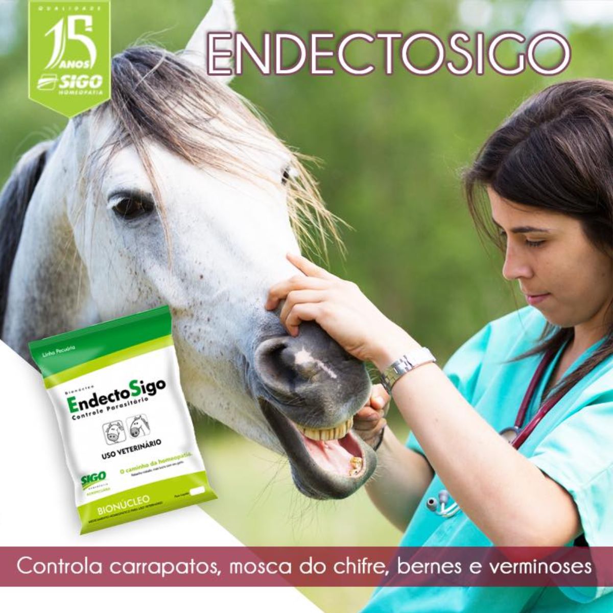 EndectoSigo Controle Parasitário 500 gramas